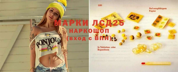 spice Краснослободск