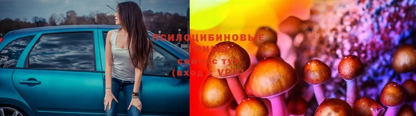 spice Краснослободск