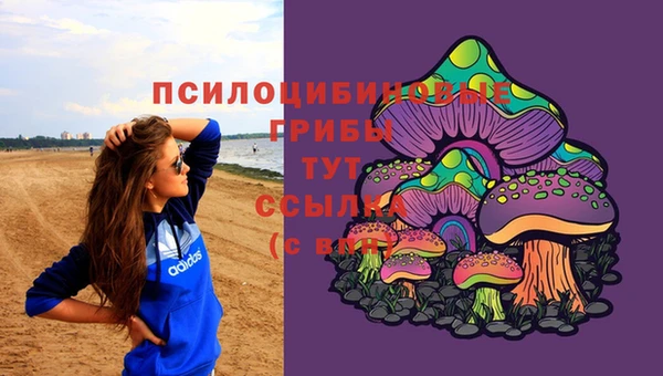spice Краснослободск